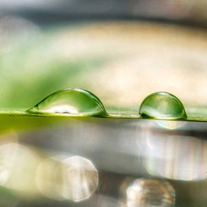 Accompagnement pour …