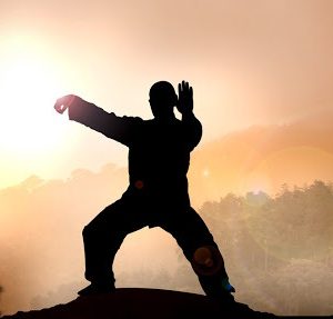 qi gong solo_delphineleterrier